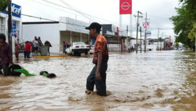 Photo of मेक्सिको में मूसलाधार बारिश का कहर: 64 लोगों की मौत, 65 लापता