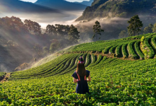 Photo of घूमने का मन है, नवंबर में भारत की ये जगहें हैं परफेक्ट ट्रिप डेस्टिनेशन