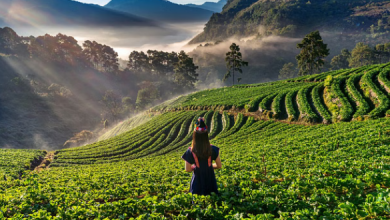 Photo of घूमने का मन है, नवंबर में भारत की ये जगहें हैं परफेक्ट ट्रिप डेस्टिनेशन