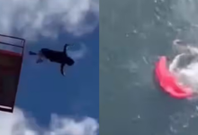 Photo of शख्स ने कई फीट ऊपर से लगाई छलांग पर सही समय पर नहीं खुला पैराशूट