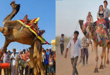Photo of ब्रह्मा आरती के साथ आज होगा ‘पुष्कर मेला’ का आगाज, डिप्टी सीएम दिया कुमारी रहेंगी उपस्थित