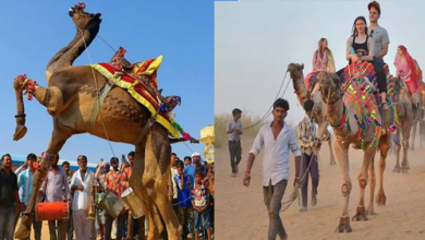 Photo of ब्रह्मा आरती के साथ आज होगा ‘पुष्कर मेला’ का आगाज, डिप्टी सीएम दिया कुमारी रहेंगी उपस्थित