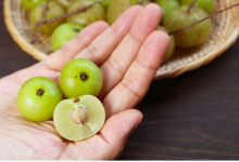 Photo of आंवला खाने के फायदे तो हैं बेशुमार, पर  हो सकता है सेहत को नुकसान