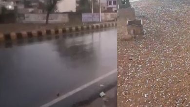 Photo of हरियाणा में येलो और ऑरेंज अलर्ट,5-8 अक्टूबर तक बारिश-ओलावृष्टि की संभावना