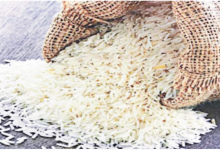 Photo of दिल्ली: भारत के चावल की दूर तक फैलेगी महक, तीन हजार करोड़ का करार