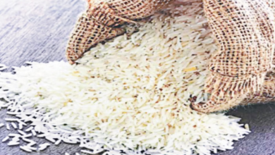 Photo of दिल्ली: भारत के चावल की दूर तक फैलेगी महक, तीन हजार करोड़ का करार