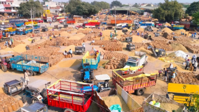 Photo of मंडियों में धान पर बारिश की मार, सुखाने में जुटे किसान