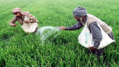 Photo of सरकार ने खाद लेने के लिए लागू किया नया नियम