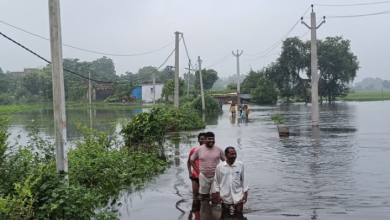 Photo of कैमूर में BJP विधायक ने किया बाढ़ प्रभावित क्षेत्रों का दौरा, किसानों को मुआवजा दिलाने का दिया आश्वासन