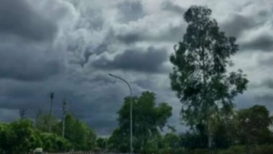 Photo of मध्यप्रदेश में ठंड ने दी दस्तक: पहाड़ों में बर्फबारी का असर