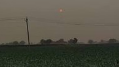 Photo of राजस्थान में उत्तरी हवाओं ने बढ़ाई सर्दी