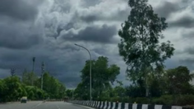 Photo of मध्य प्रदेश में ठंड ने दी दस्तक, पारा 13.5 डिग्री तक गिरा