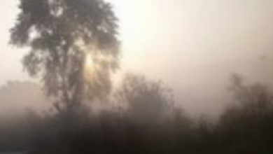 Photo of राजस्थान में उत्तरी हवाओं के सक्रिय रहने से सर्दी का असर जारी