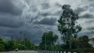 Photo of दक्षिणी हिस्से के 9 जिलों में आज बादल छाने और हल्की बारिश का अनुमान