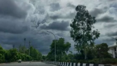 Photo of इंदौर में आज हल्की बारिश का अनुमान, बाकी जिलों में खिलेगी धूप