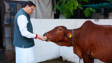 Photo of गोवर्धन पूजा: सीएम धामी ने की गौ माता की पूजा-अर्चना