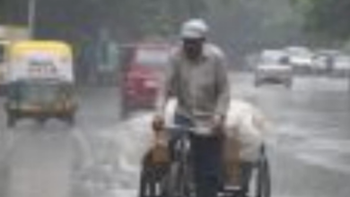 Photo of राजस्थान: वेस्टर्न डिस्टर्बेंस से बारिश, जयपुर में 92MM बरसात