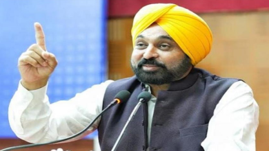 Photo of पंजाब में RTO सेवाएं होंगी पूरी तरह फेसलेस, सीएम मान आज इस जिले से करेंगे शुरूआत