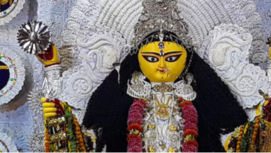 Photo of कब की जाएगी जगद्धात्री पूजा, जानिए इस पर्व से जुड़ी मान्यताएं