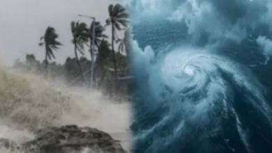 Photo of मध्य प्रदेश में ‘मोंथा’ तूफान का असर: इन 11 जिलों में तेज बारिश की चेतावनी