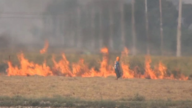 Photo of हवा में जहर: पंजाब में पराली जलाने का रिकॉर्ड टूटा, एक दिन में 283 मामले