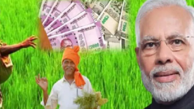 Photo of किसान सम्मान निधि में फर्जीवाड़ा: अपात्र लोगों से वसूली जाएगी रकम
