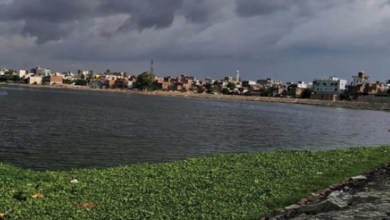 Photo of  बिहार में मोंथा का असर, 18 जिलों में भारी बारिश का अलर्ट