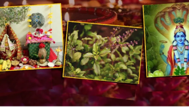 Photo of तुलसी विवाह में जरूर शामिल करें ये चीजें, आशीर्वाद बनाएं रखेंगी मां लक्ष्मी