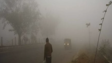 Photo of राजस्थान में चक्रवाती बारिश से बढ़ी ठंड, 13 जिलों में यलो अलर्ट