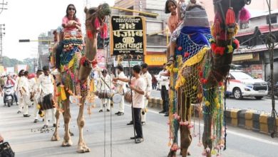 Photo of राजस्थान: ऊंट निर्यात पर 11 साल बाद हटाया प्रतिबंध