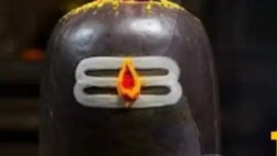 Photo of मोक्षदा एकादशी के दिन शिवलिंग पर चढ़ाएं ये चीजें