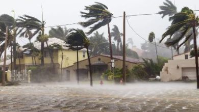 Photo of फिलीपींस में फंग-वोंग तूफान, 50 हजार परिवार सुरक्षित जगह भेजे गए