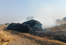 Photo of हरियाणा: पराली नहीं बनेगी मुसीबत, अब भट्ठों में ईंधन के रूप में होगी इस्तेमाल