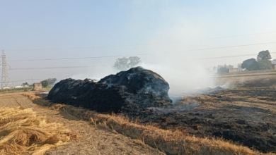 Photo of हरियाणा: पराली नहीं बनेगी मुसीबत, अब भट्ठों में ईंधन के रूप में होगी इस्तेमाल