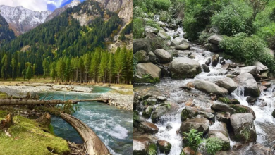 Photo of कुल्लू के पास तीर्थन घाटी है पर्यटकों की खास पसंद, ट्रेकिंग और हाइकिंग का भी ले सकते हैं मजा