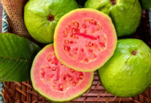 Photo of अमरूद:  जानें कोलेस्ट्रॉल बीपी और शुगर कंट्रोल करने में कैसे है फायदेमंद