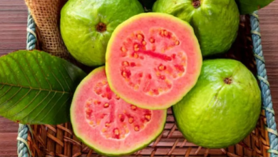 Photo of अमरूद:  जानें कोलेस्ट्रॉल बीपी और शुगर कंट्रोल करने में कैसे है फायदेमंद