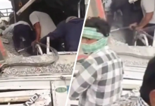 Photo of तेलंगाना के रंगारेड्डी में भीषण सड़क हादसा, बस और डंपर की टक्कर में 20 की मौत