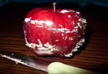 Photo of सिर्फ धोकर खाने से नहीं हटेगा सेब पर लगा मोम, इन 5 तरीकों से बनाएं इसे ‘केमिकल फ्री’