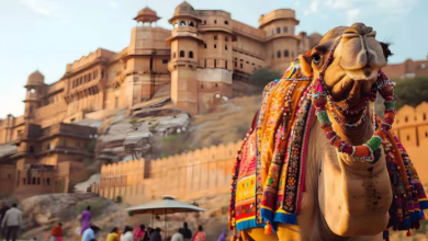 Photo of सर्दियों में घूम आइए राजस्थान, इन 5 जगहों की खूबसूरती से नहीं हटेगी नजर