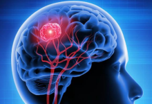 Photo of वैज्ञानिकों ने सुलझाया दिमाग का यह रहस्य