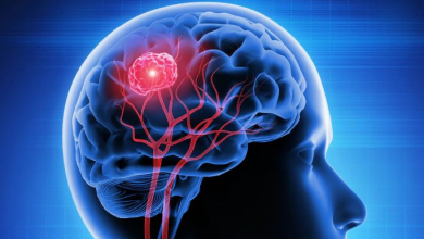 Photo of वैज्ञानिकों ने सुलझाया दिमाग का यह रहस्य