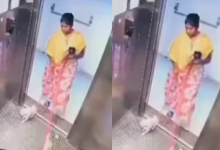 Photo of कामवाली ने लिफ्ट में कुत्ते के बच्चे को पटक-पटककर मार डाला