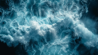 Photo of प्रशांत महासागर के नीचे मची है बड़ी हलचल, वैज्ञानिकों का खुलासा