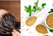 Photo of हेयर फॉल का रामबाण इलाज है मेथी, बस इन तरीकों से करें इस्तेमाल