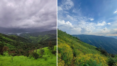Photo of विंटर सीजन में घूमने के लिए परफेक्ट है महाबलेश्वर