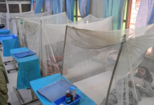 Photo of पाकिस्तान में डेंगू का प्रकोप, नवंबर में मिले 6000 से अधिक मरीज