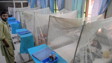 Photo of पाकिस्तान में डेंगू का प्रकोप, नवंबर में मिले 6000 से अधिक मरीज