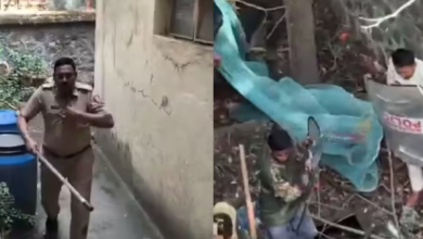 Photo of तेंदुए को पकड़ने पहुंची पुलिस पर हुआ खूंखार हमला