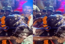 Photo of भैंसे के बर्थडे पर उड़ी नोटों की बारिश, दूल्हे की तरह सजा शेरा